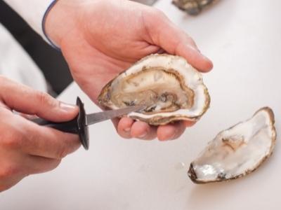 What does an oyster knife look like