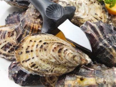 What does an oyster knife look like