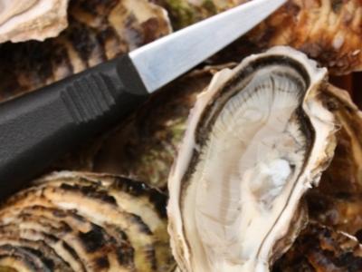 What does an oyster knife look like