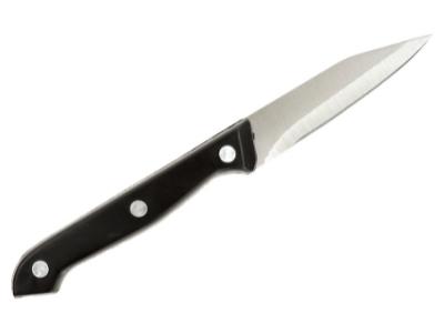 What is a paring knife