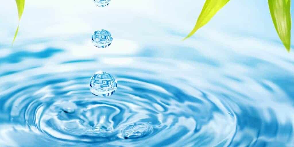water filter