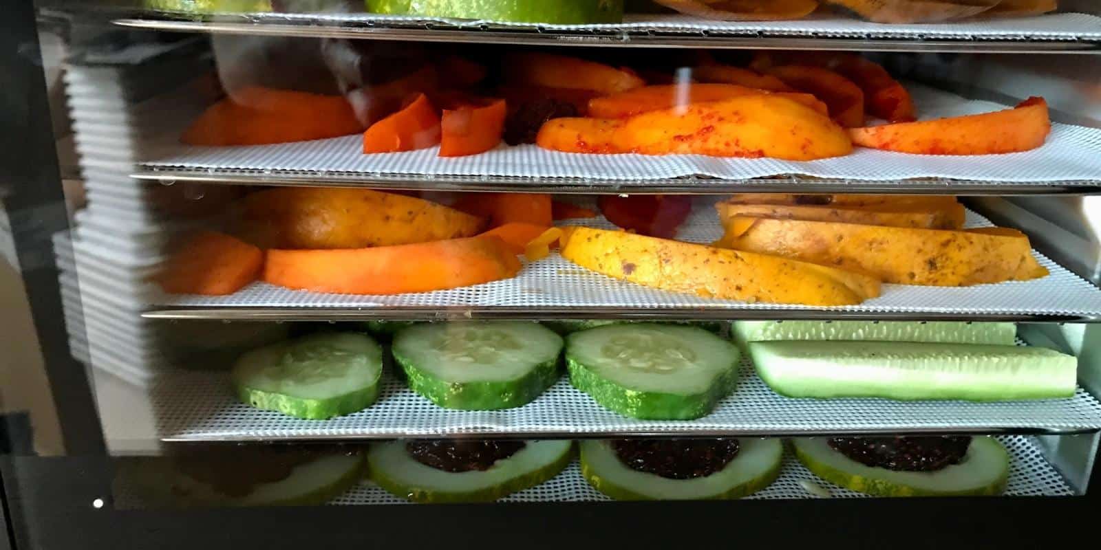 Preserve with Confidence Magic Mill Dehydrator Review