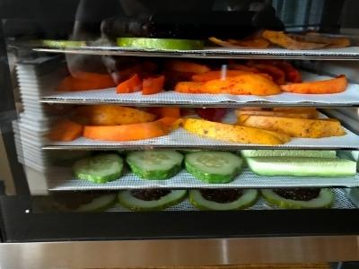 Magic mill food dehydrator machine review