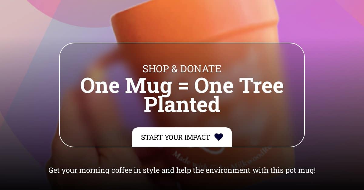 The Best Immersion Blenders to Create Your Smooth Sauces! (2021) Milkwood