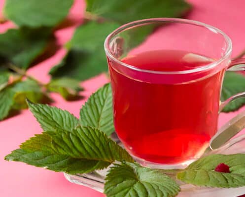 Raspberry leaf tea