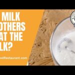 What can you put in a milk frother